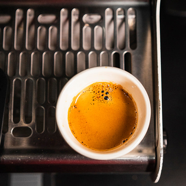 ESPRESSO ORIENTATION