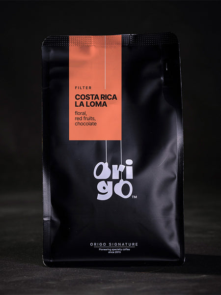 Filter Costa Rica La Loma