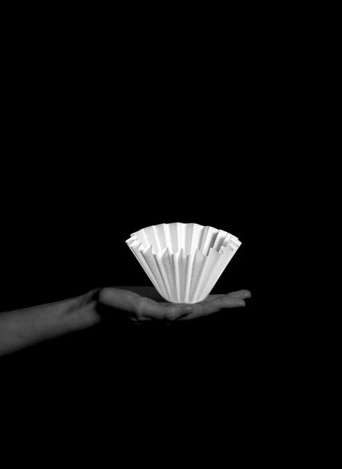 SIBARIST WAVE