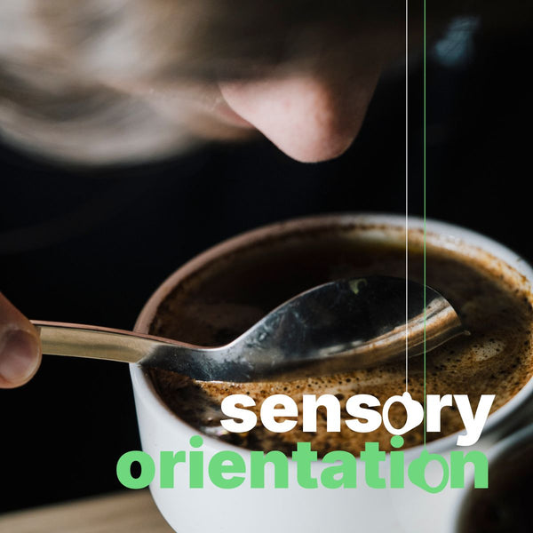 SENSORY ORIENTATION