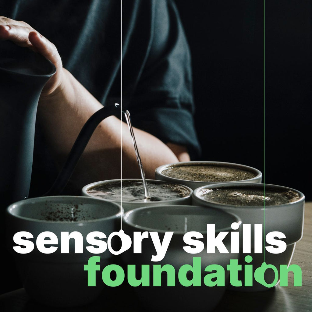 SENSORY SKILLS FOUNDATION