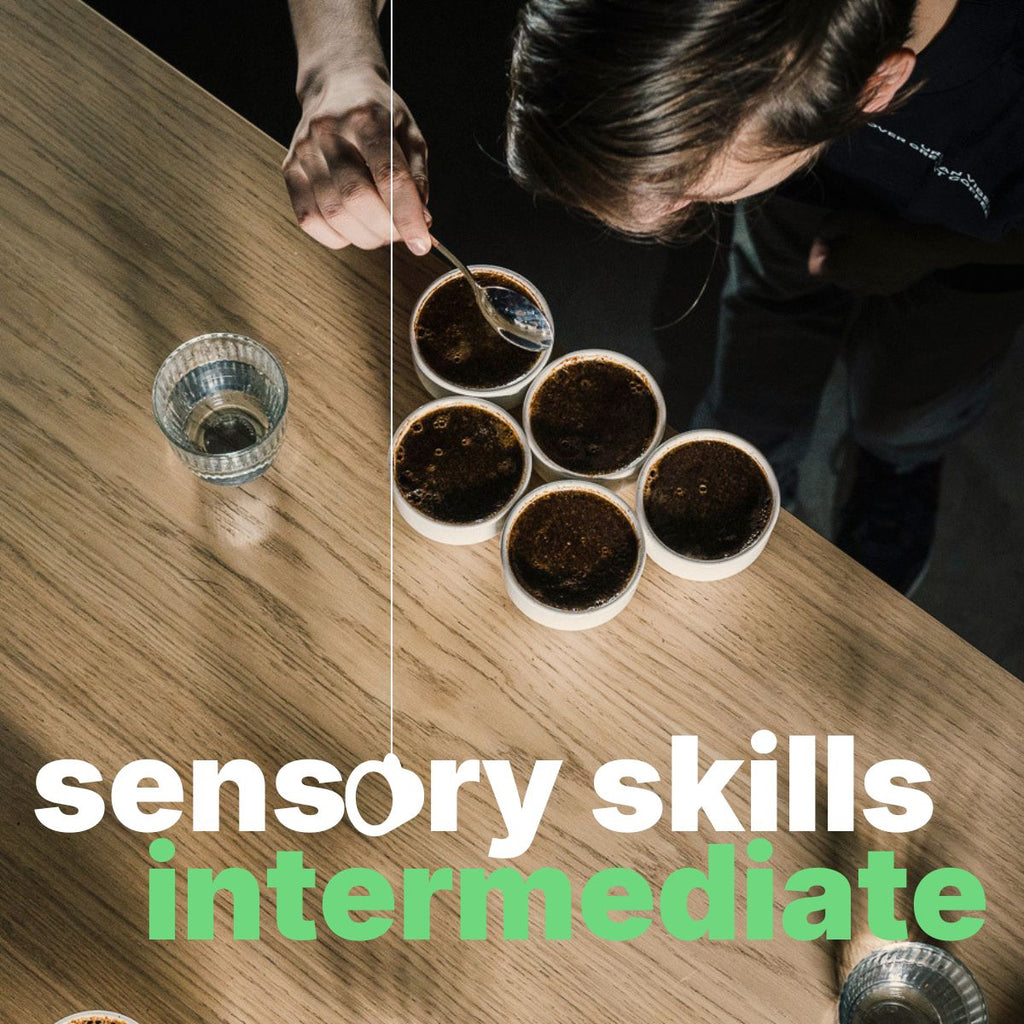 SENSORY SKILLS INTERMEDIATE